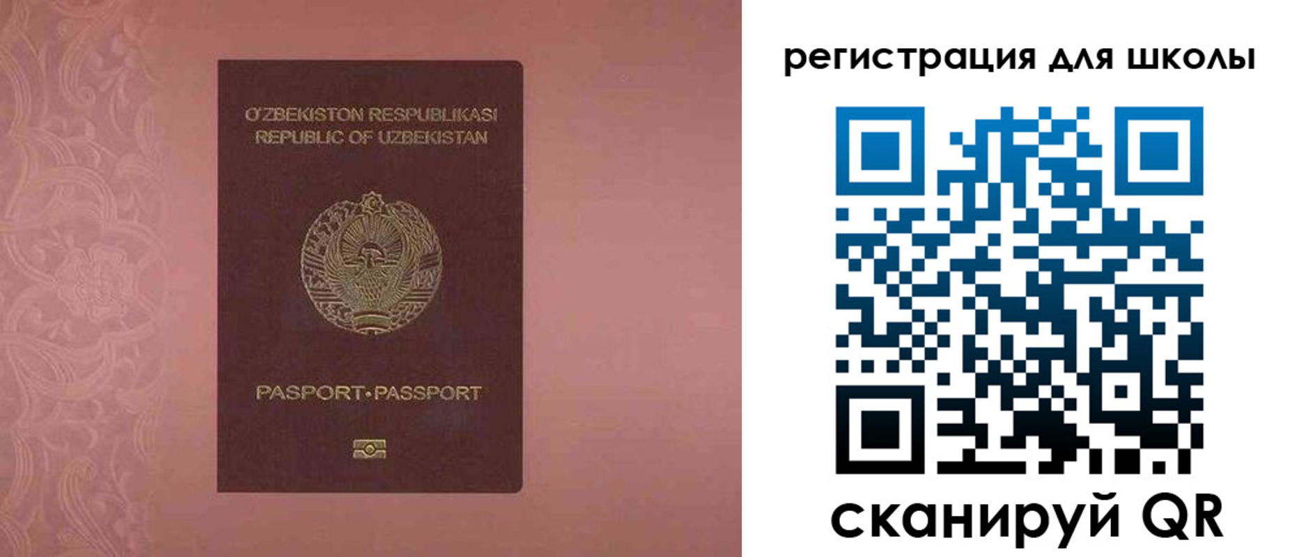 прописка для школы в Большом Камне